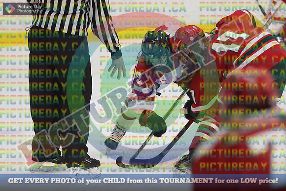 20250201-16636