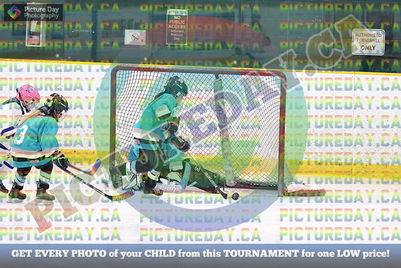 20250201-14098
