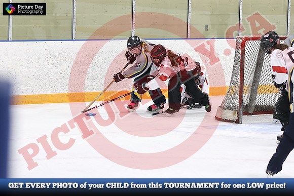 20241214-3005142024 St Marys Sinpers Ringette Tournament