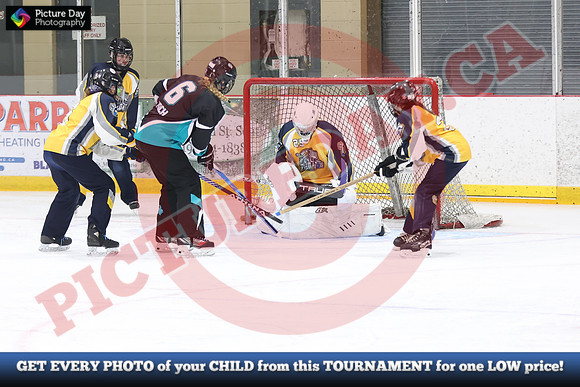 20241214-0400142024 St Marys Sinpers Ringette Tournament