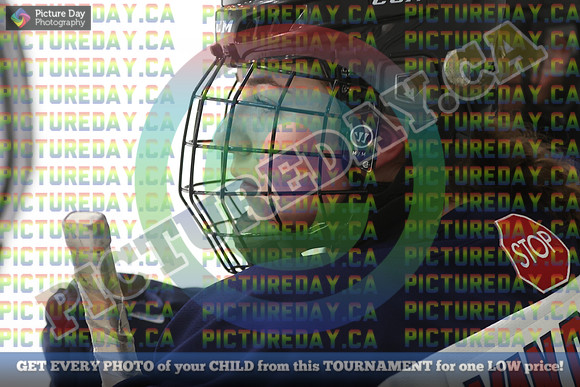 20250201-17037