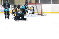 20241214-0377142024 St Marys Sinpers Ringette Tournament