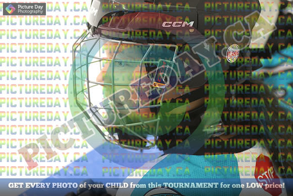 20250201-17598