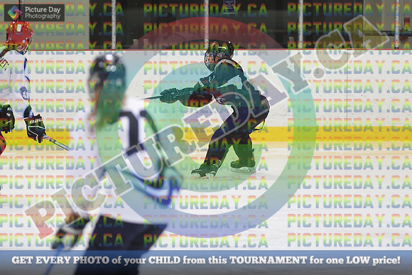 20250208-9762