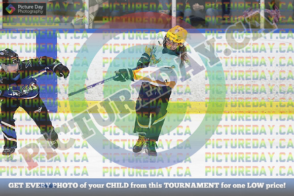 20250103-139632025 Whitby Ringette Tournament