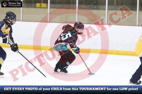 20241214-0434142024 St Marys Sinpers Ringette Tournament