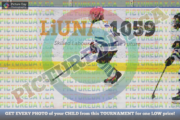 20250201-9907