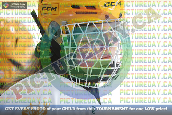 20250208-8668