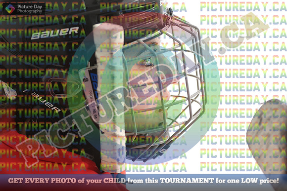 20250131-8260