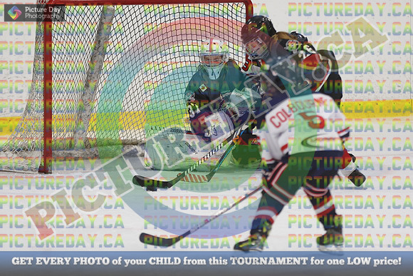 20250131-5574