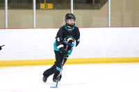 20241214-0388142024 St Marys Sinpers Ringette Tournament