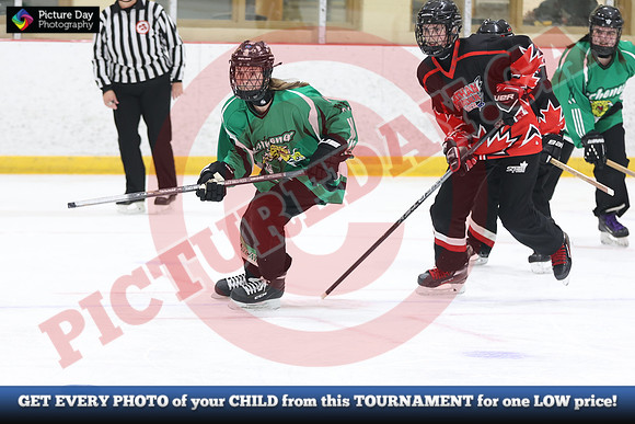 20241214-2840142024 St Marys Sinpers Ringette Tournament