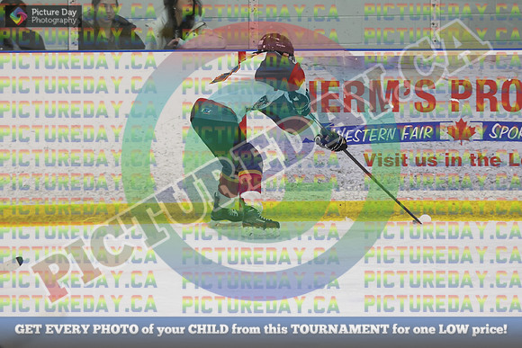 20250131-8867
