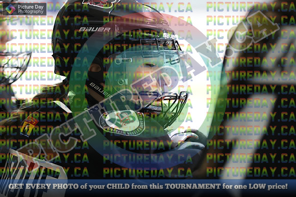 20250402-13839