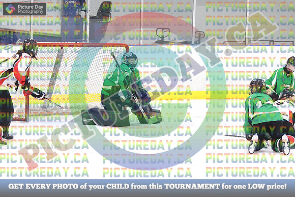 20250228-8556