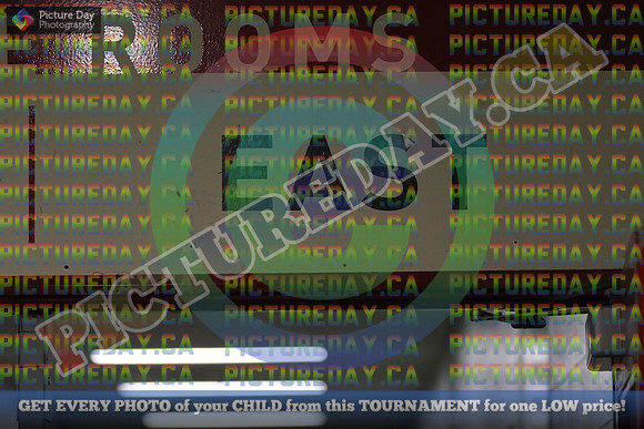 20250406-19000