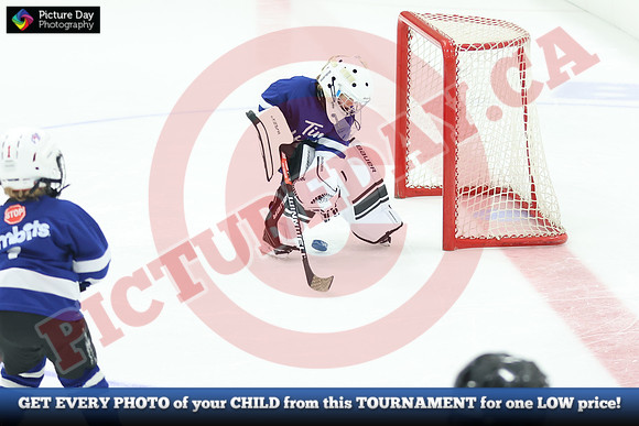 20241108-021782024 Belmont Rangers U7 Rumble