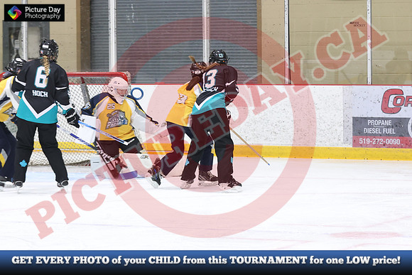 20241214-0401142024 St Marys Sinpers Ringette Tournament