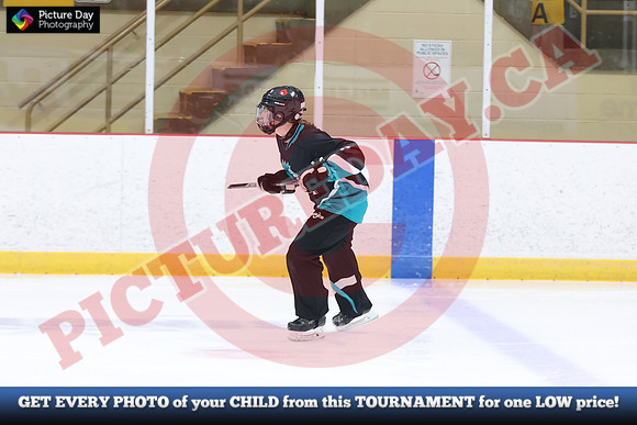 20241214-0420142024 St Marys Sinpers Ringette Tournament