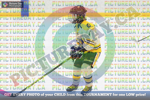 20250119-1916519
