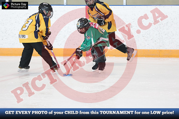20241214-1871142024 St Marys Sinpers Ringette Tournament
