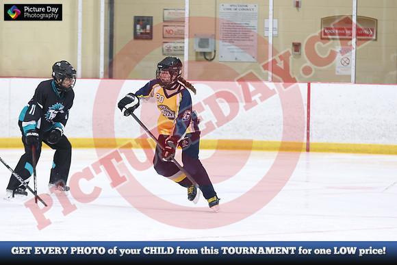 20241214-0423142024 St Marys Sinpers Ringette Tournament