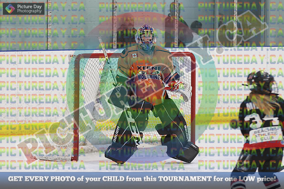 20250202-23882