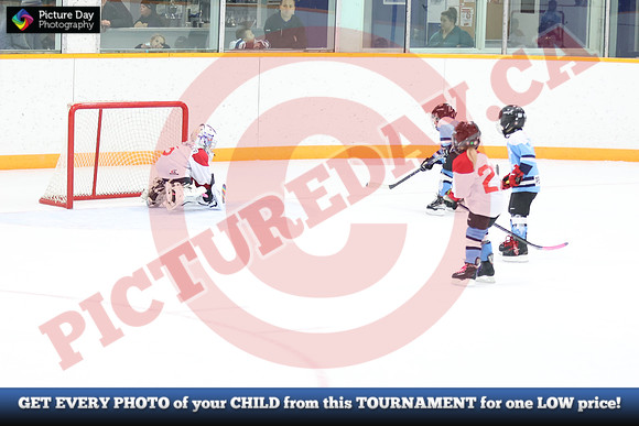 20241108-043082024 Belmont Rangers U7 Rumble