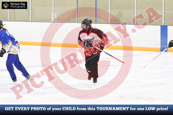 20241214-3814142024 St Marys Sinpers Ringette Tournament