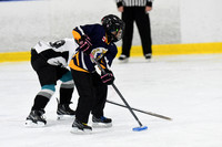 am 09.00 CanScar-4 [B T2] Muskoka Royals vs Newmarket Rays