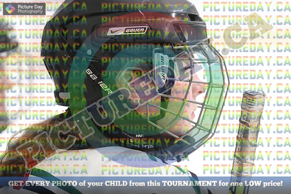 20250201-18113