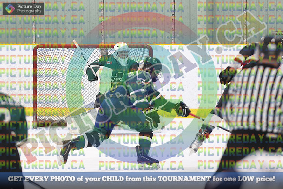 20250201-85041