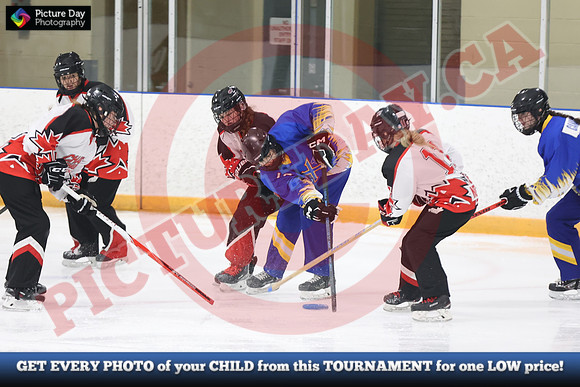 20241214-3803142024 St Marys Sinpers Ringette Tournament