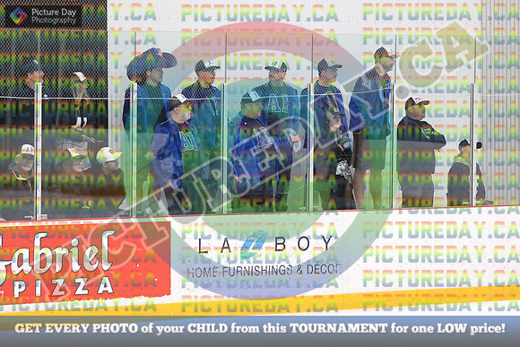 20250403-18451