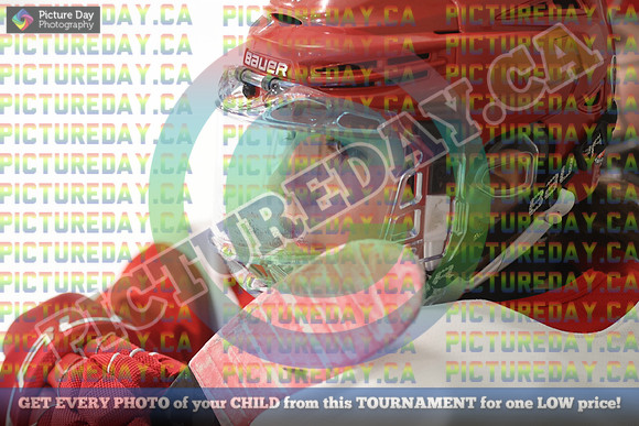 20250131-6179