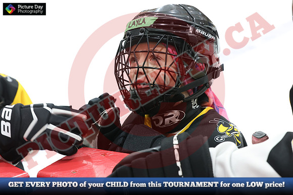 20241214-0761142024 St Marys Sinpers Ringette Tournament