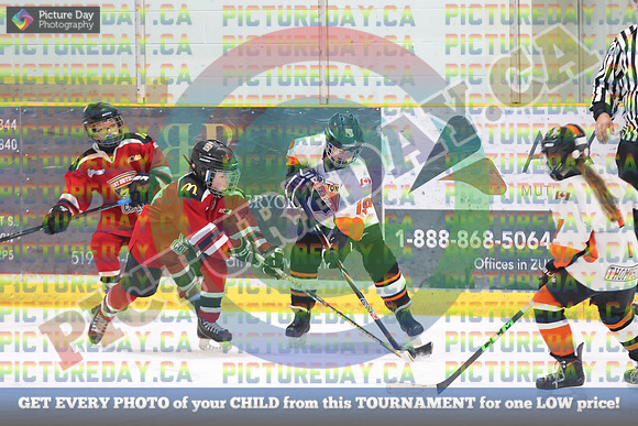 20250131-267931