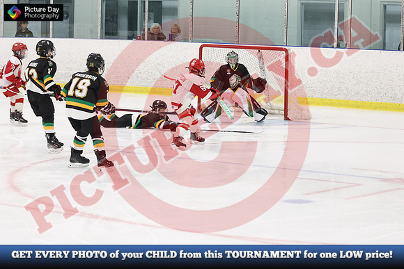 20241110-12369