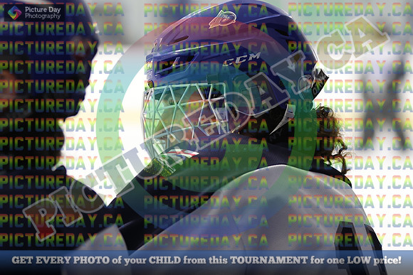 20250331-2537