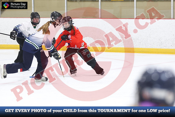 20241215-5959152024 St Marys Sinpers Ringette Tournament