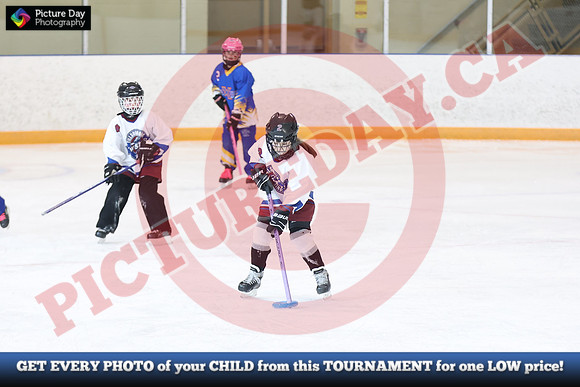 20241214-1288142024 St Marys Sinpers Ringette Tournament