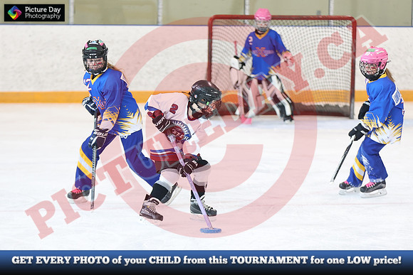 20241214-1290142024 St Marys Sinpers Ringette Tournament