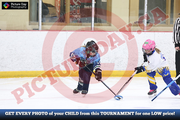 20241215-4141152024 St Marys Sinpers Ringette Tournament