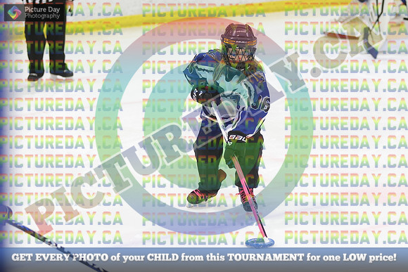 20250103-487232025 Whitby Ringette Tournament2025 Whitby Ringette Tournament