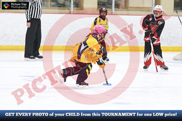 20241215-5247152024 St Marys Sinpers Ringette Tournament