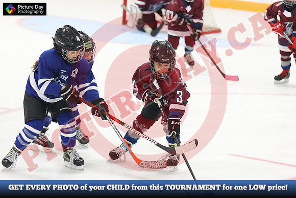 20241108-141282024 Belmont Rangers U7 Rumble