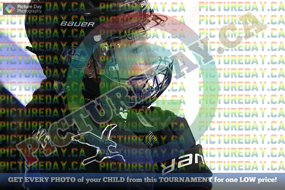 20250208-78308