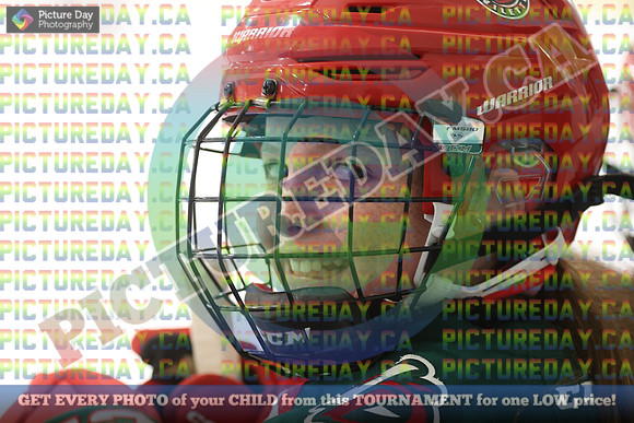 20250131-0029
