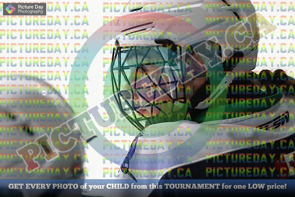 20250331-3800