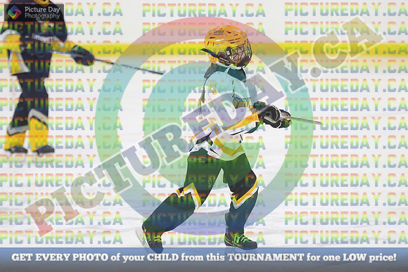 20250404-8982
